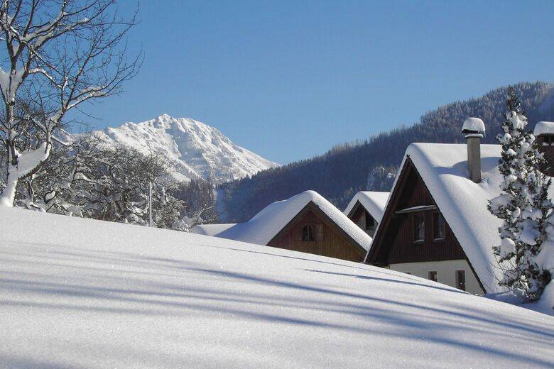 Snow-covered garden and forest during winter at Hof Berneck
